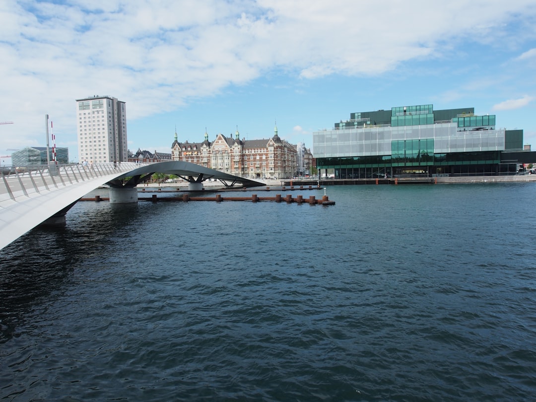 Scopri Water Art: Un Capolavoro di Anders Tinsbo a Copenaghen - Købmagergade 52 | Secret World Trip Planner