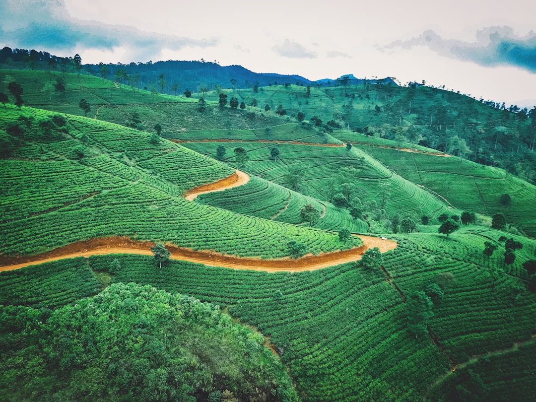 Pidurutalagala: la cima más alta de Sri Lanka - Nuwara Eliya | Secret World Trip Planner
