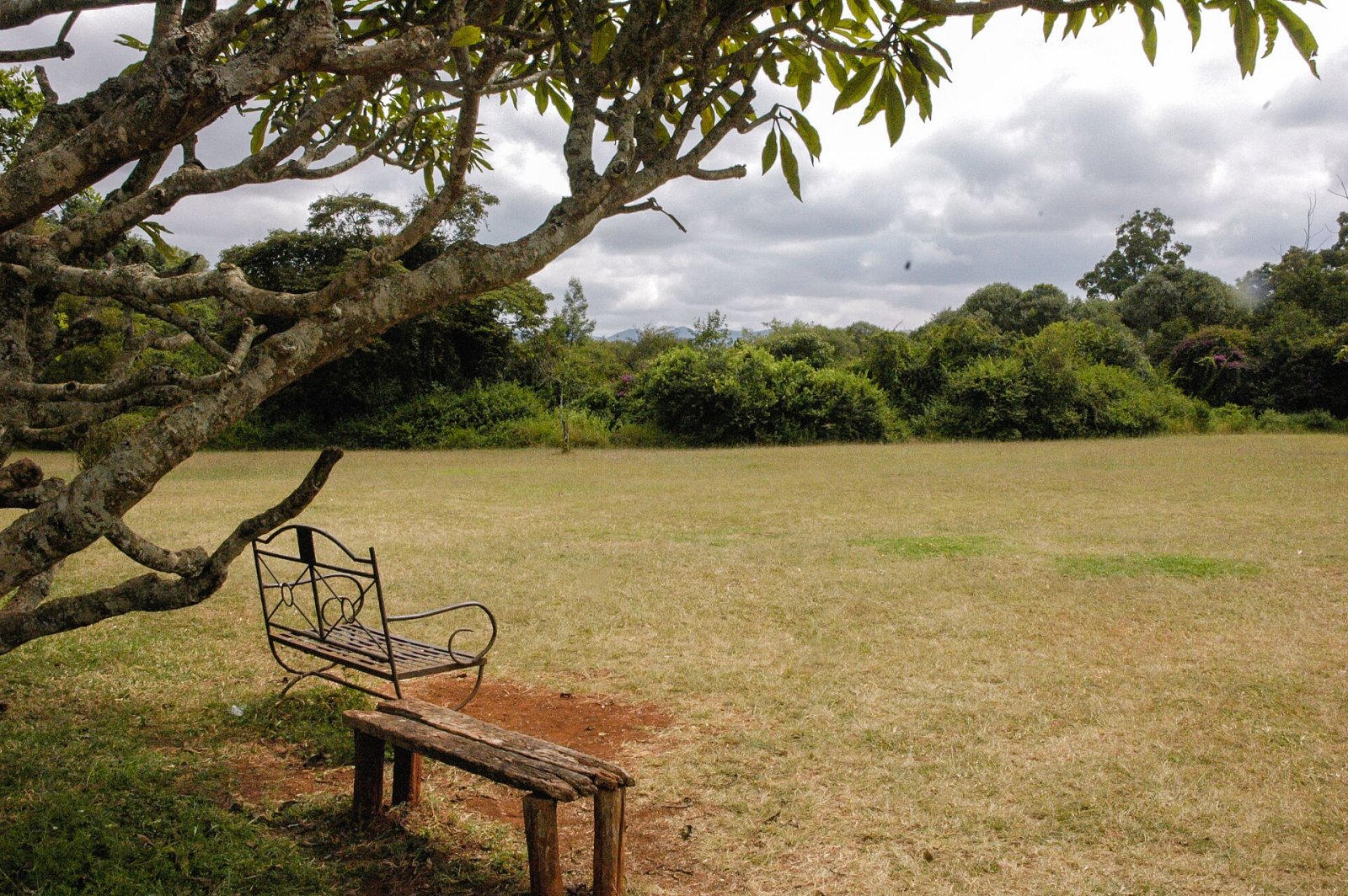 Descubre Bench, el refugio de tranquilidad en el corazón de Kenia - Nairobi | Secret World Trip Planner