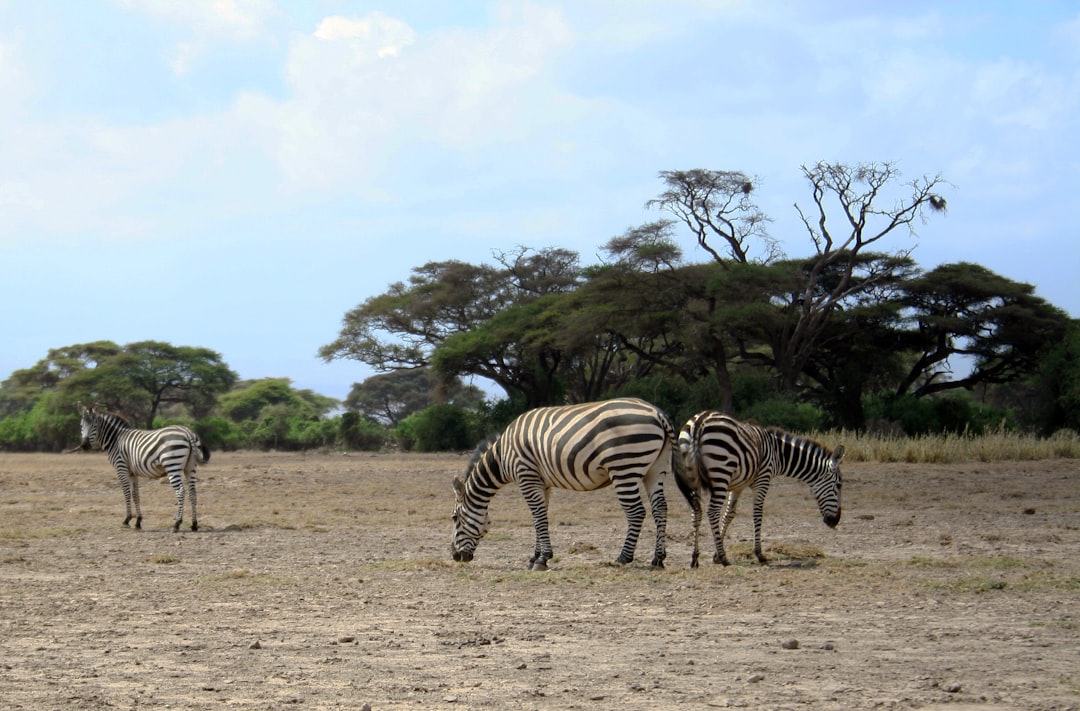 Entdecke den Äquator in Kenia: eine einzigartige Reise zwischen Erlebnissen und Natur | Secret World Trip Planner