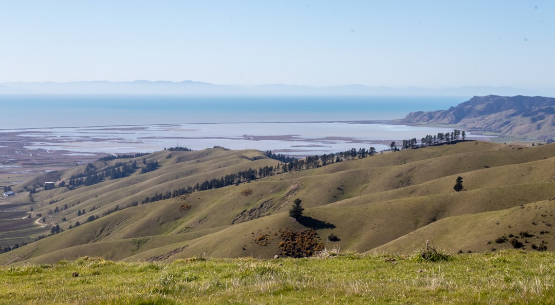 Tours de Vino en Marlborough: Ciclismo en Blenheim — Springlands