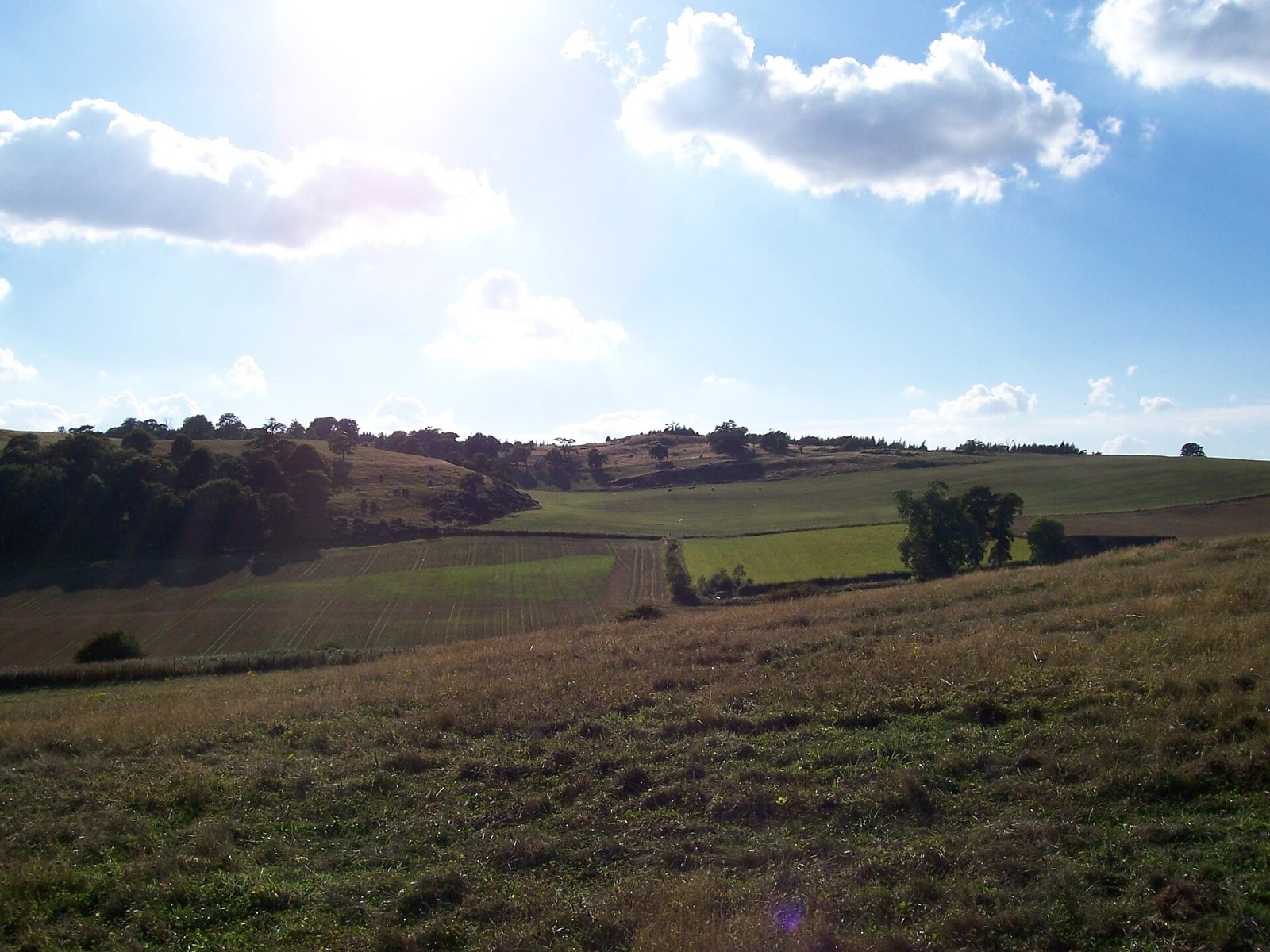 Scoprire Cairnie Hill: Un gioiello naturale in Scozia - 8RGM+G6 Cupar | Secret World Trip Planner