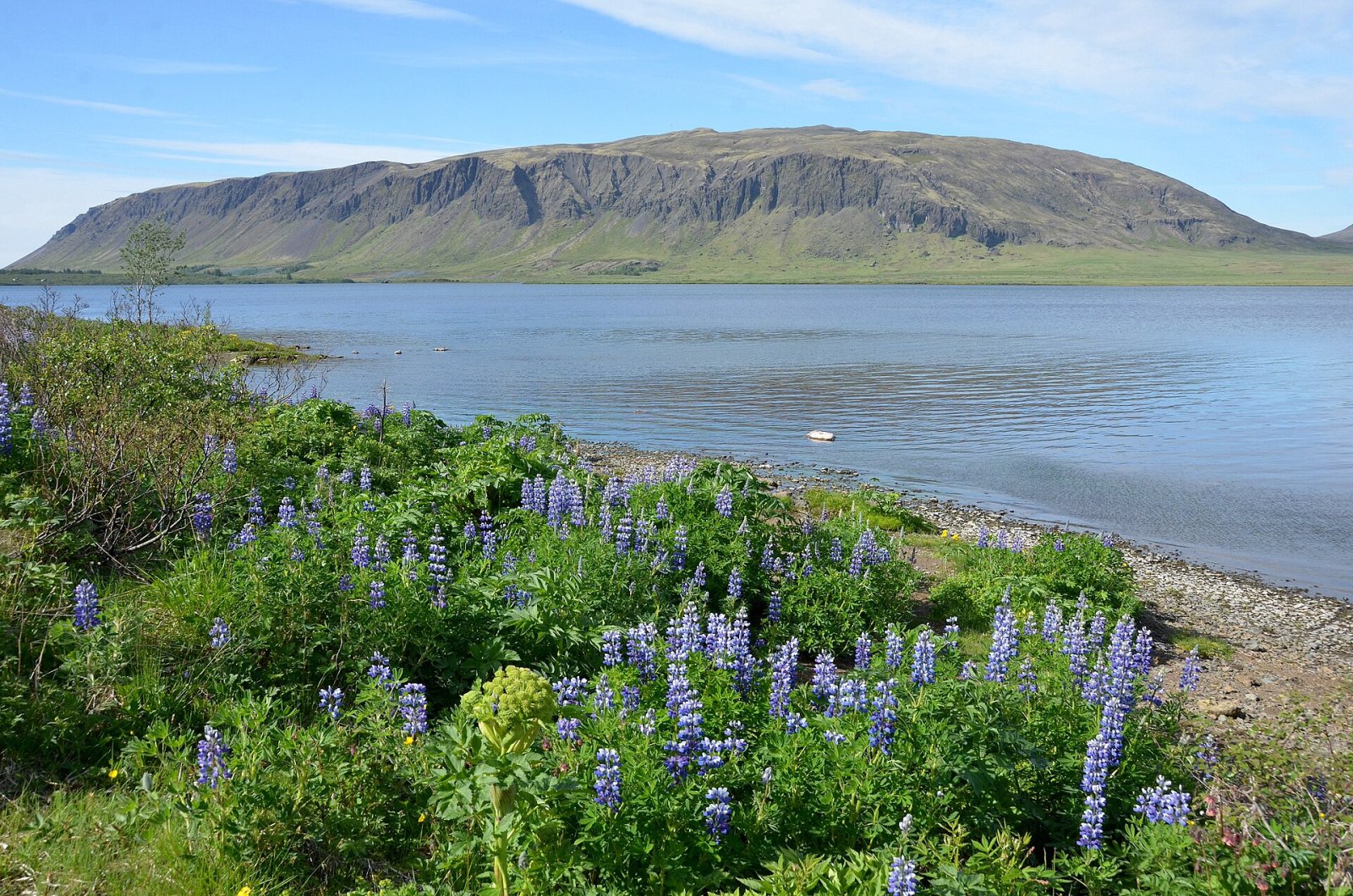Ingólfsfjall : un bijou naturel d'Islande — Árbæjarhverfi