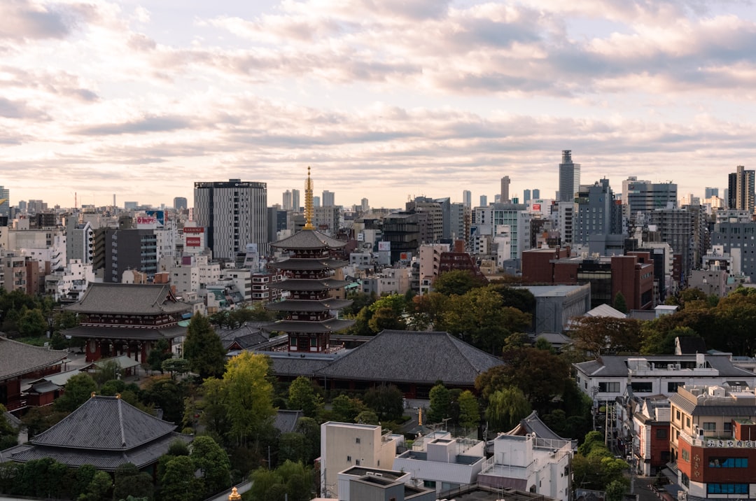 Museo Nacional de Tokio: guía de colecciones - Taito City | Secret World Trip Planner