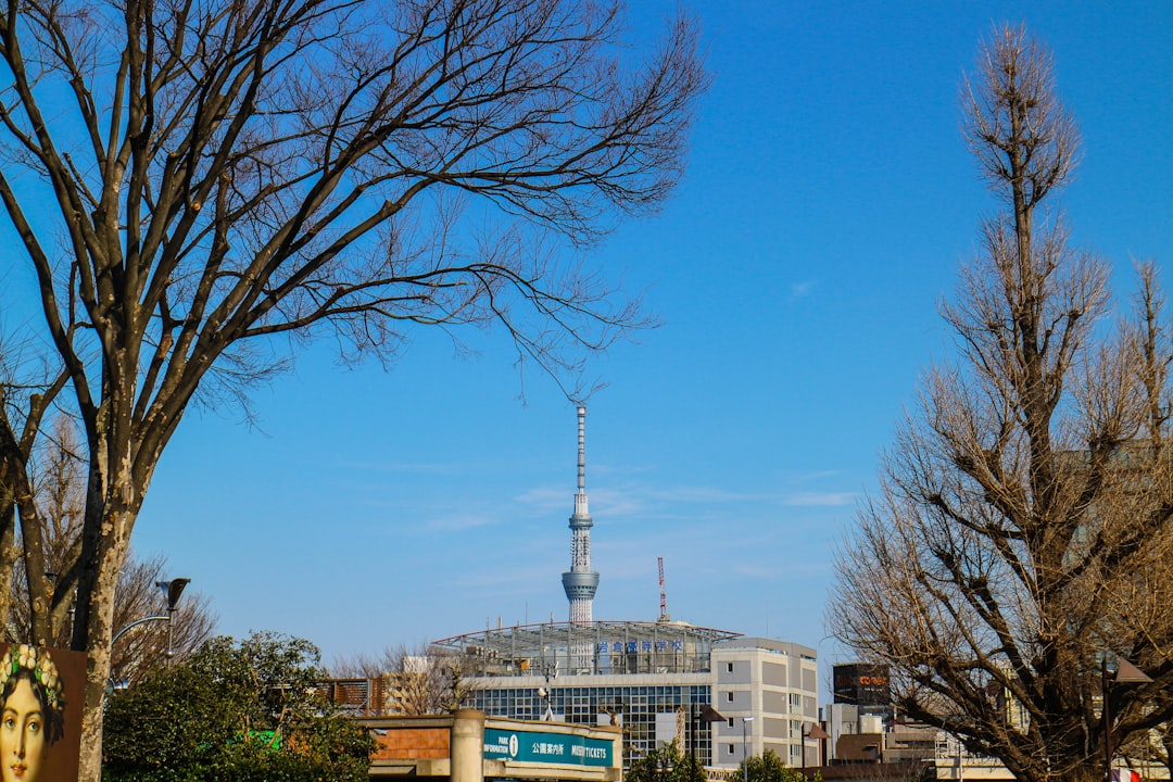 Museo Nacional de Tokio: guía de colecciones - Taito City | Secret World Trip Planner