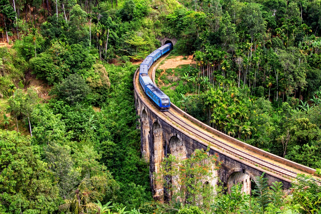 Kikiliyamana : un coin de nature préservée au Sri Lanka - Nuwara Eliya | Secret World Trip Planner