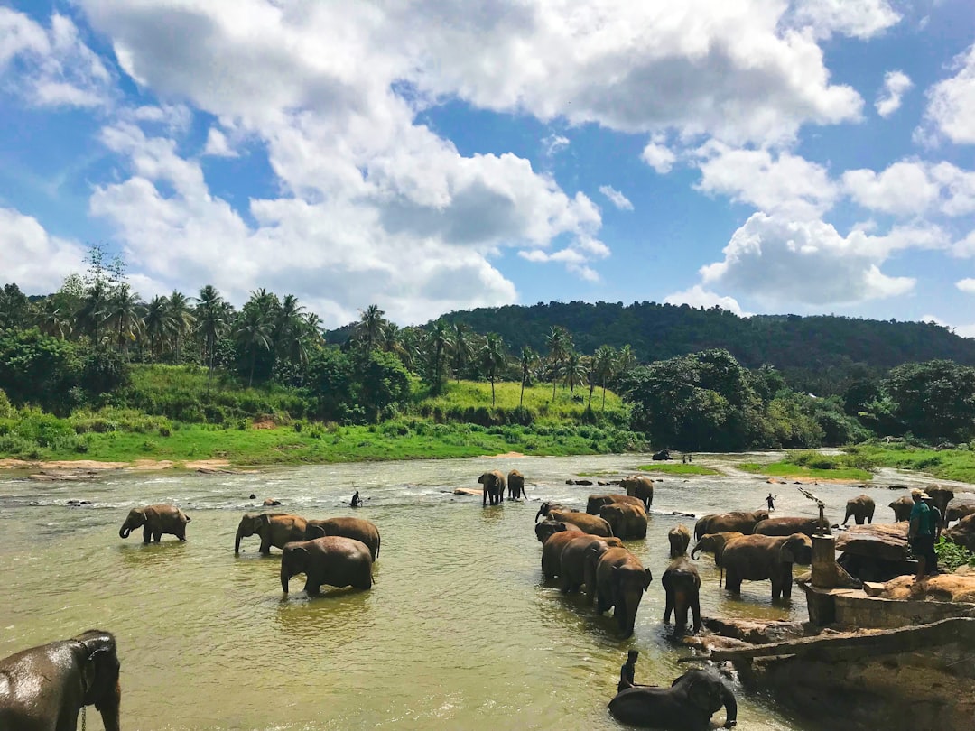 Gommolli Kanda: Un Tesoro Natural en el Corazón de Sri Lanka - Belihuloya | Secret World Trip Planner