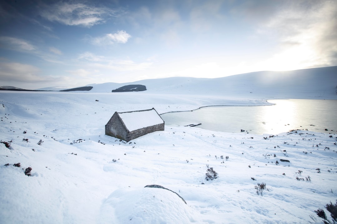 Icehouse : Le Groupe Australien Qui a Conquis le Monde - Midlothian | Secret World Trip Planner
