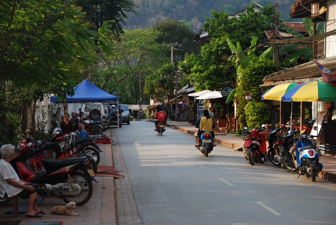 Nam Ha: trekking nella foresta montana del Laos - Ban Nam Sing Noi | Secret World Trip Planner