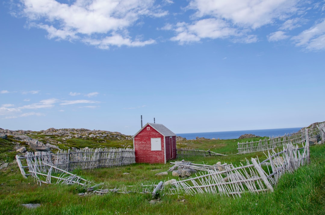 El faro de Cape Bonavista: historia y puffins en Terranova - Bonavista | Secret World Trip Planner
