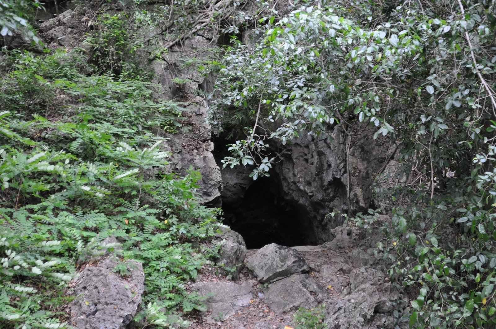 Entdecken Sie die Bat Cave in Kambodscha: ein Naturjuwel zum Erkunden - Krong Kaeb | Secret World Trip Planner