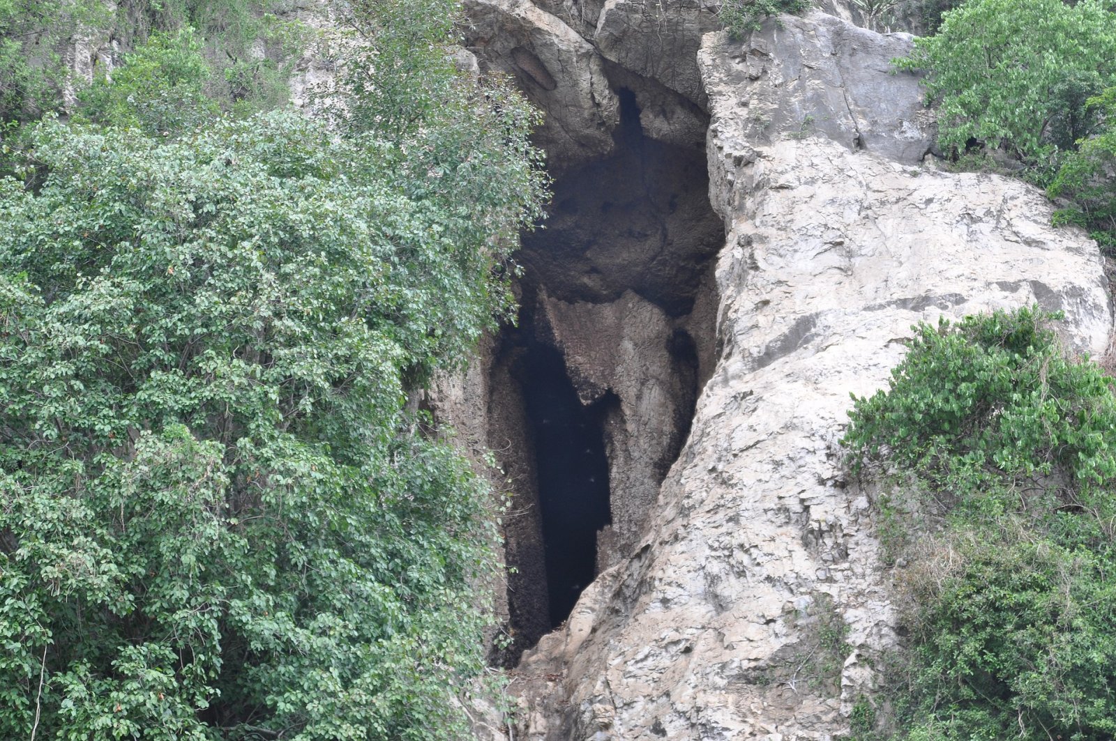 Entdecken Sie die Bat Cave in Kambodscha: ein Naturjuwel zum Erkunden - Krong Kaeb | Secret World Trip Planner