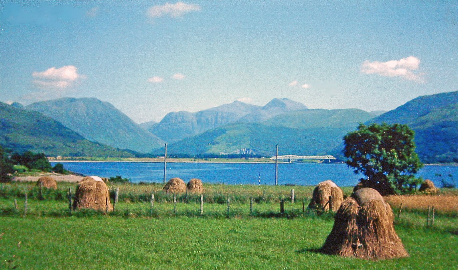 Scoprire Sgor nam Fiannaidh: un angolo di natura incontaminata in Scozia - MXH7+Q4 Ballachulish | Secret World Trip Planner