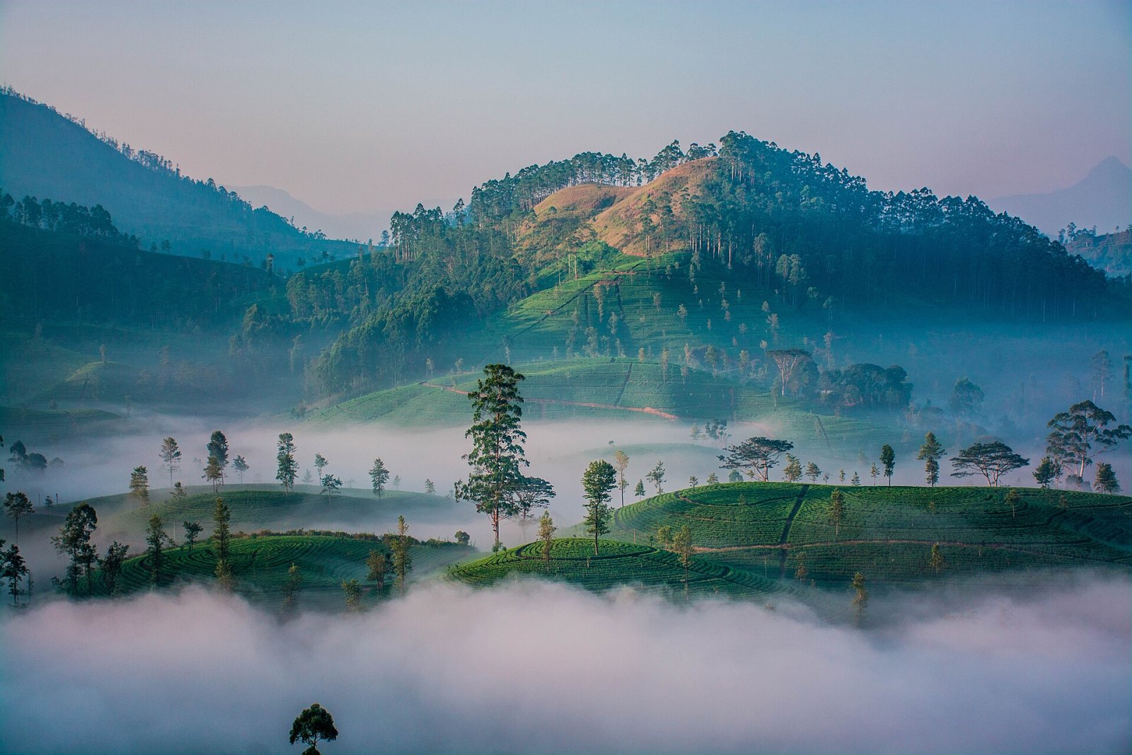 Kotagala: Ein unberührtes Naturparadies in Sri Lanka - Hatton | Secret World Trip Planner