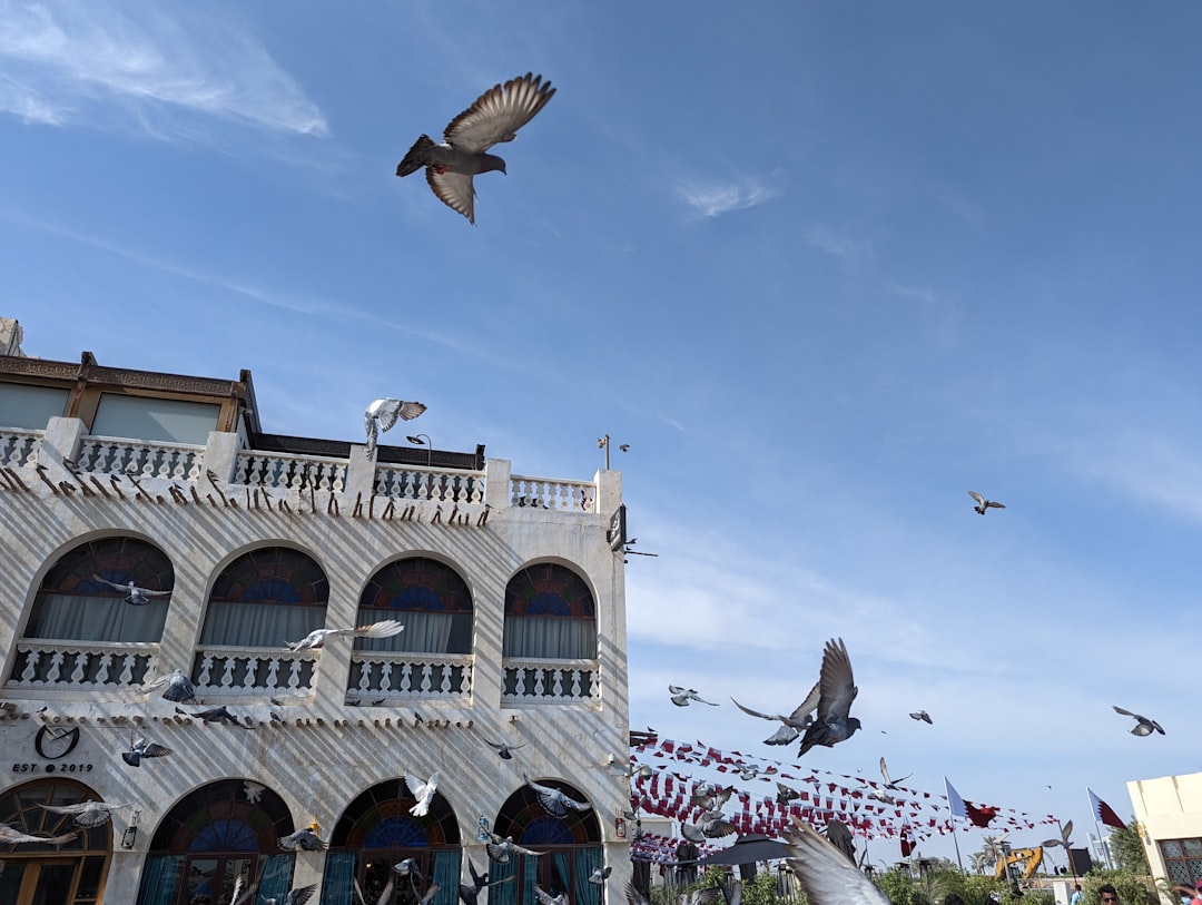 Souq Waqif: Der historische Markt im Herzen von Doha - Doha | Secret World Trip Planner