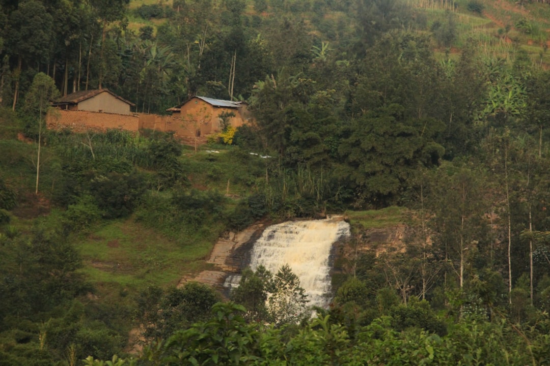Cascades de Wli : les plus hautes d'Afrique de l'Ouest - Afegame | Secret World Trip Planner
