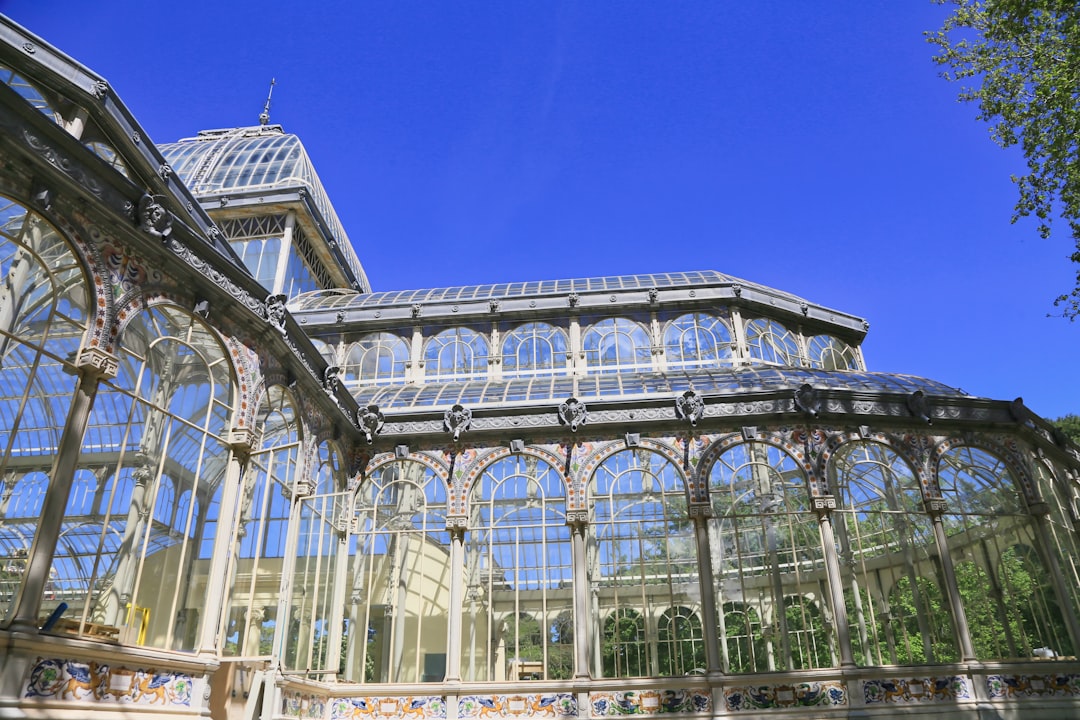 Crystal Palace Gardens: Aerial Views of Porto - R. de D Manuel II | Secret World Trip Planner