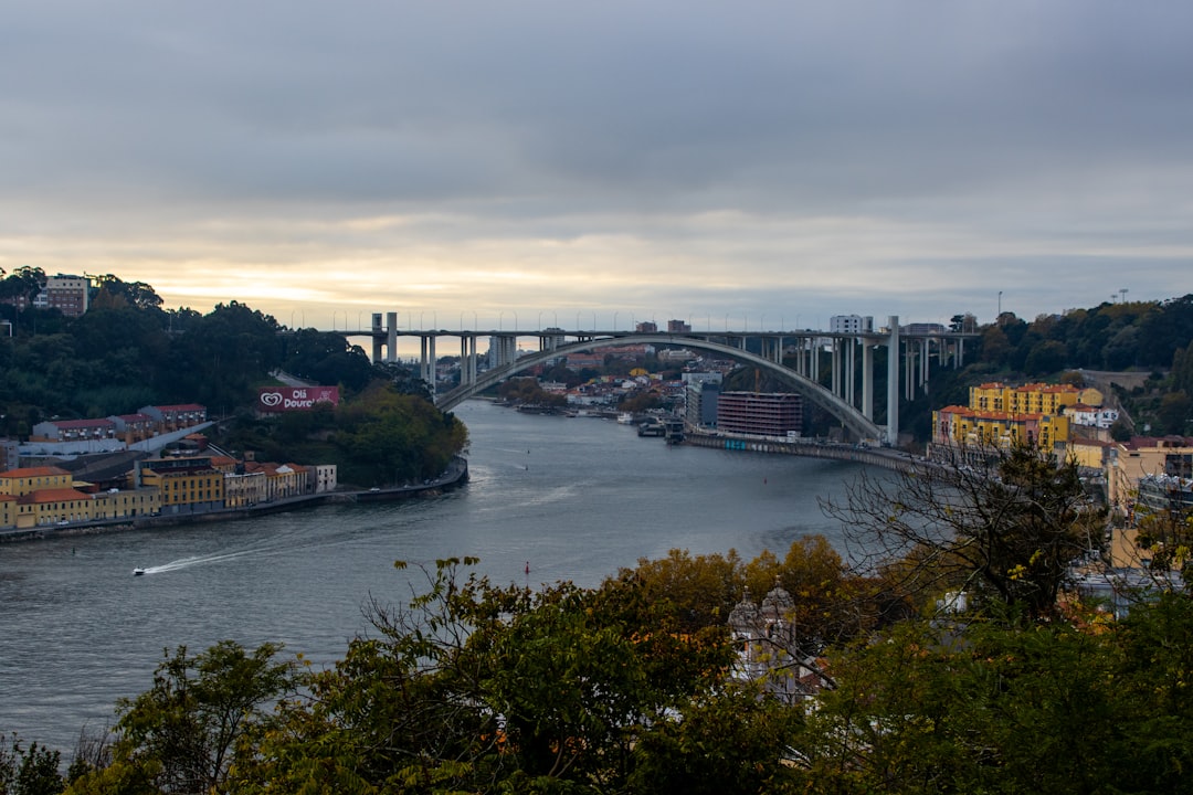 Crystal Palace Gardens: Aerial Views of Porto - R. de D Manuel II | Secret World Trip Planner