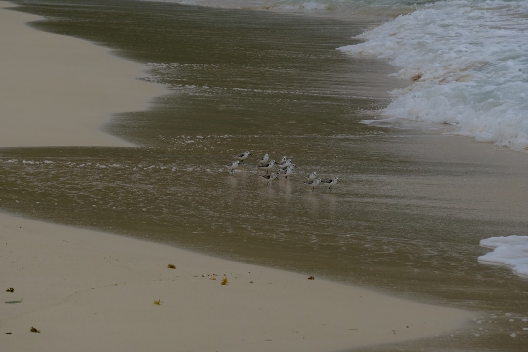 Playa Rincón: la spiaggia selvaggia di Las Galeras - Playa Rincon | Secret World Trip Planner