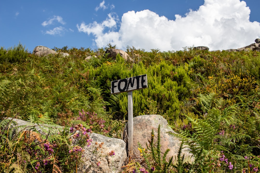 El faro de Pointe du Bout: hierro y coral en Martinica - Pointe du Bout | Secret World Trip Planner