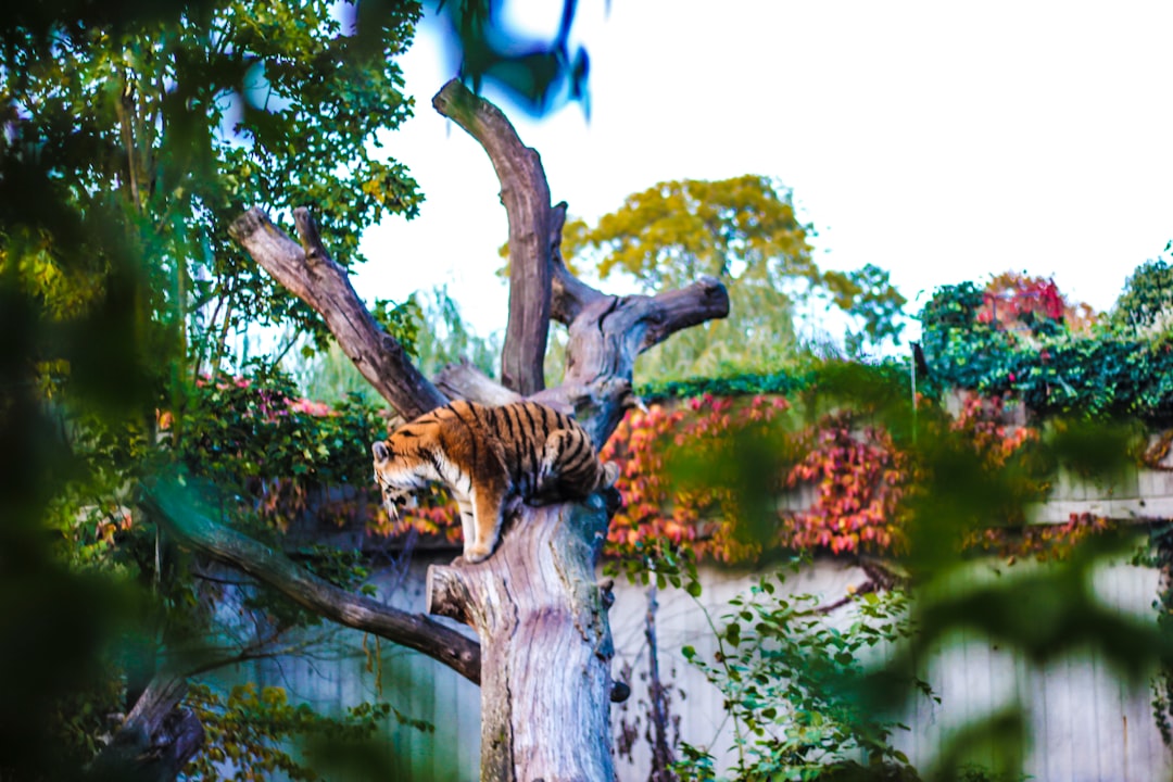 Wanderlog reseña 2026: ¿funciona en Copenhague? - Copenaghen | Secret World Trip Planner