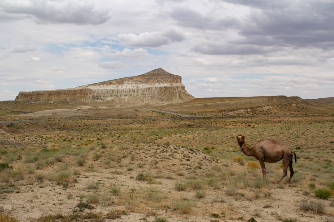 Montagne Aktau: los badlands blancos de Kazajistán - X6QJ+P6Q | Secret World Trip Planner