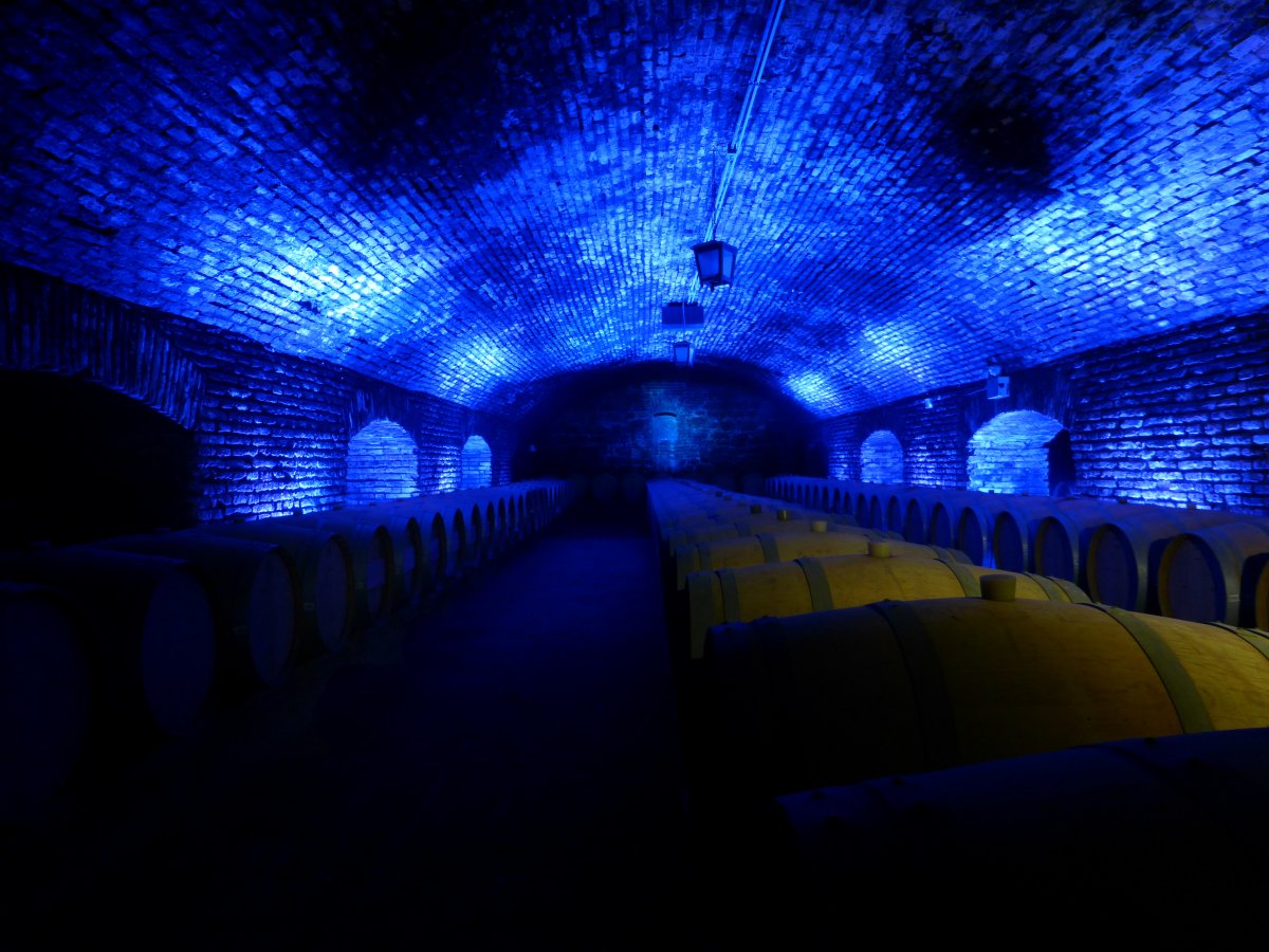 Viña Concha y Toro: vinos y bodegas en Pirque — Pirque