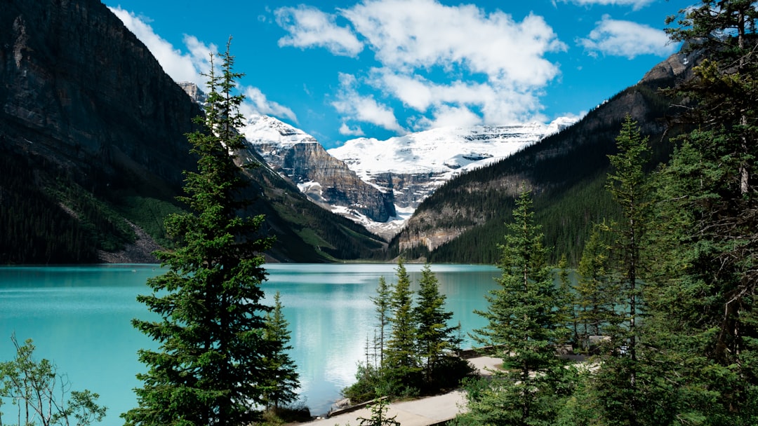 Peyto Lake: Der türkisfarbene See der Rocky Mountains - Lake Louise | Secret World Trip Planner