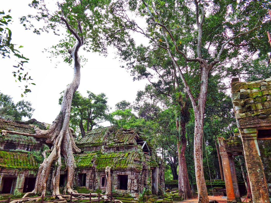 Angkor Wat bei Sonnenaufgang: Türme in Nebel und Reflexionen - Wat Po | Secret World Trip Planner