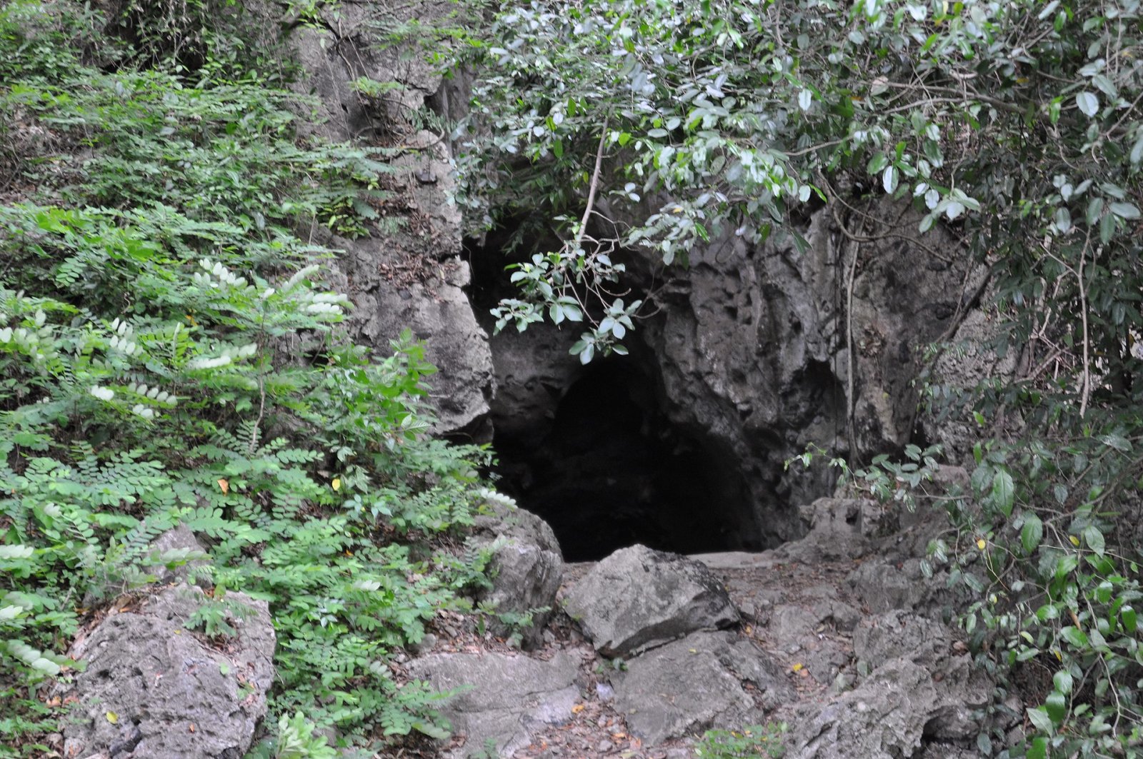 Killing Cave: un viaje entre memoria y naturaleza en Camboya — Krong Battambang