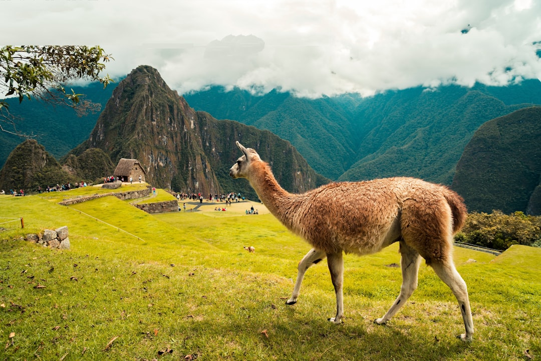 Entdecke Nurma: ein unberührtes Naturparadies in Peru | Secret World Trip Planner