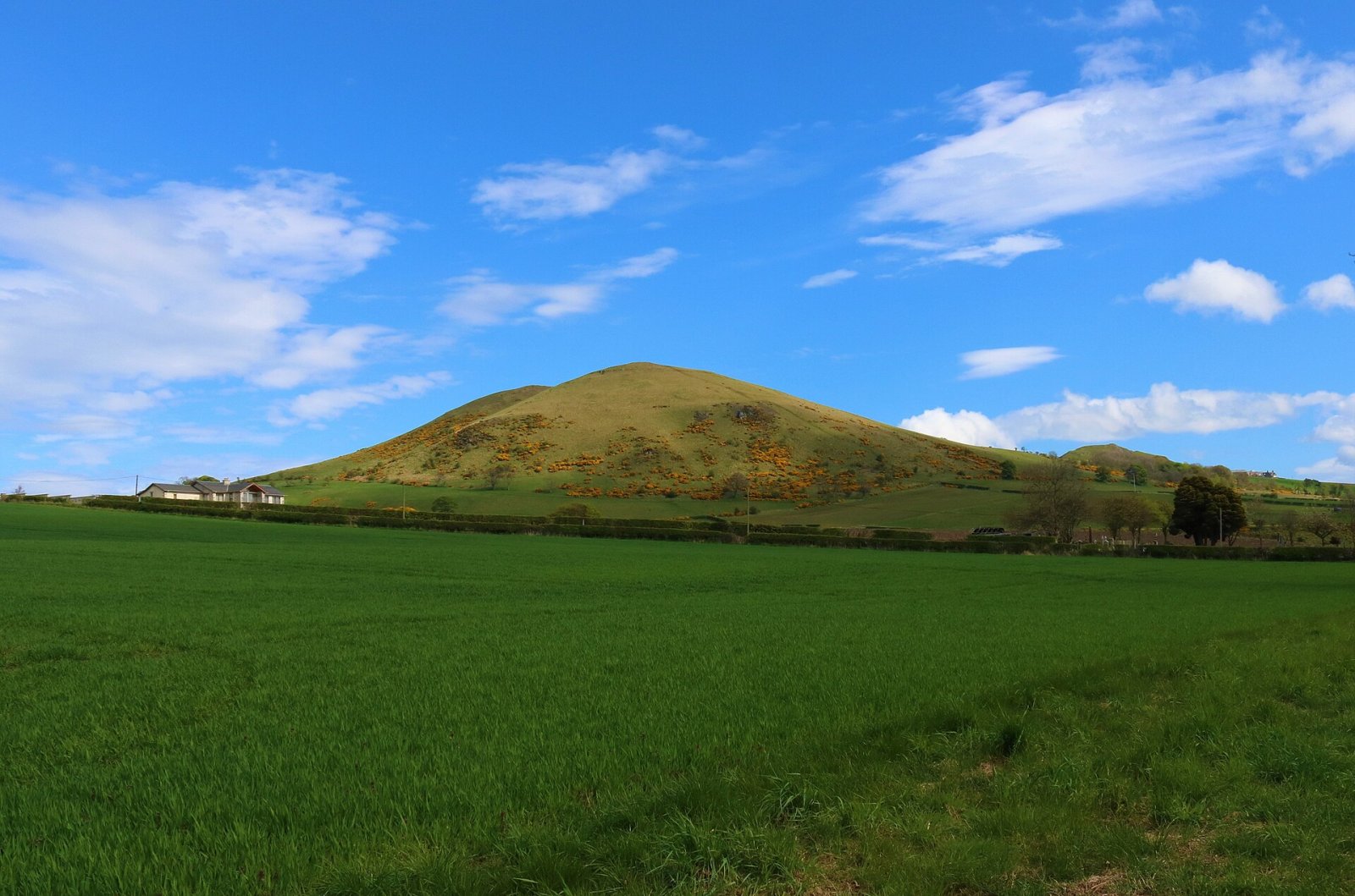 Découvrir Largo Law : Un Paradis Naturel en Écosse — 63MF+HM Leven
