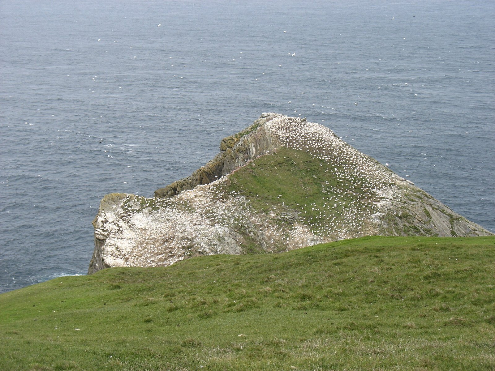 Découvrez Hermaness Hill : un coin de nature en Écosse - Burrafirth | Secret World Trip Planner