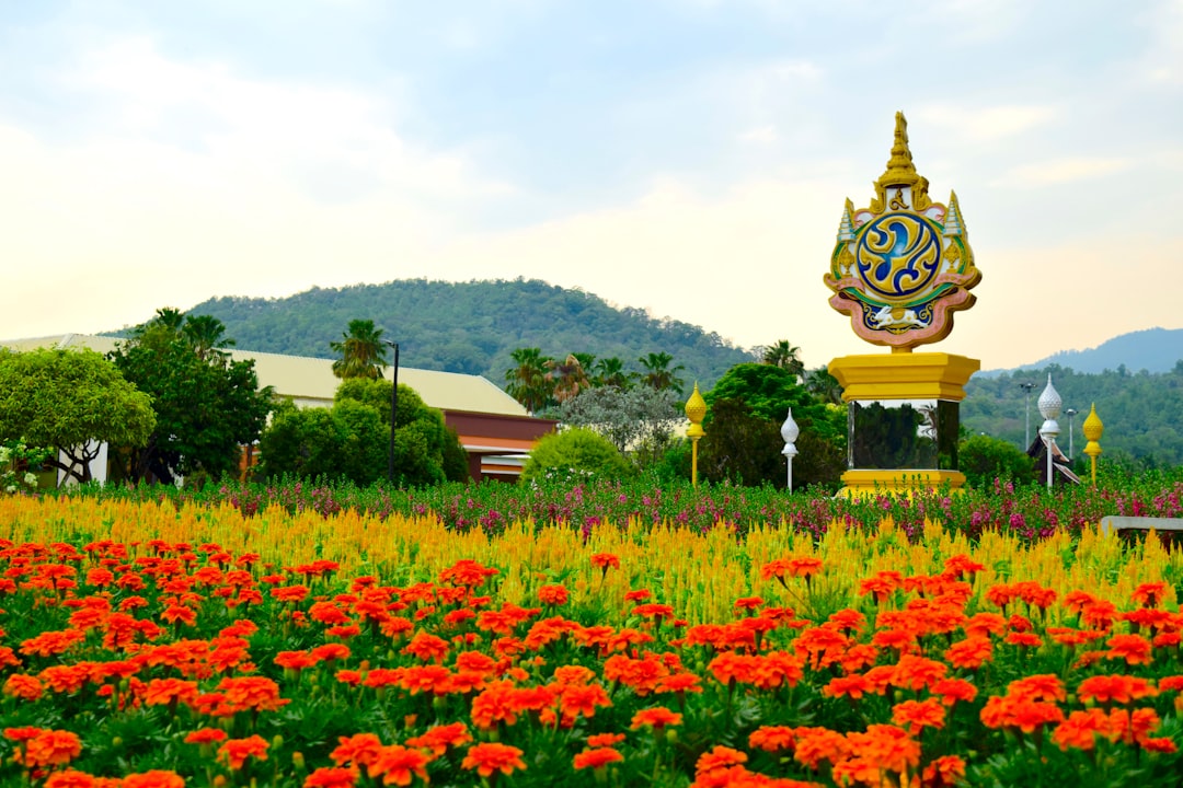 Entdecke Doi Nang Non: Der Berg der schlafenden Frau in Thailand - Mae Sai District | Secret World Trip Planner