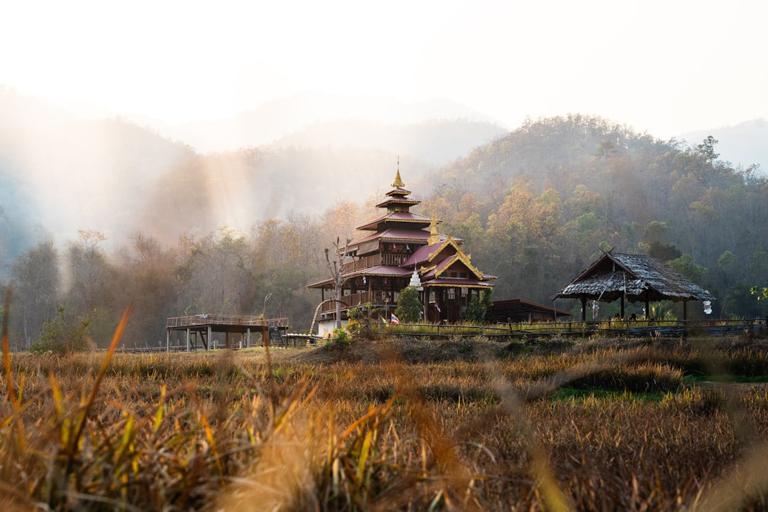 Scopri Doi Tung: la gemma nascosta della Thailandia — Mae Sai District