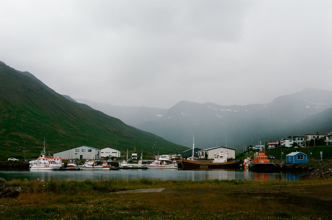 Murales e aringhe a Siglufjörður: arte sul fiordo - Snorragata 10 | Secret World Trip Planner