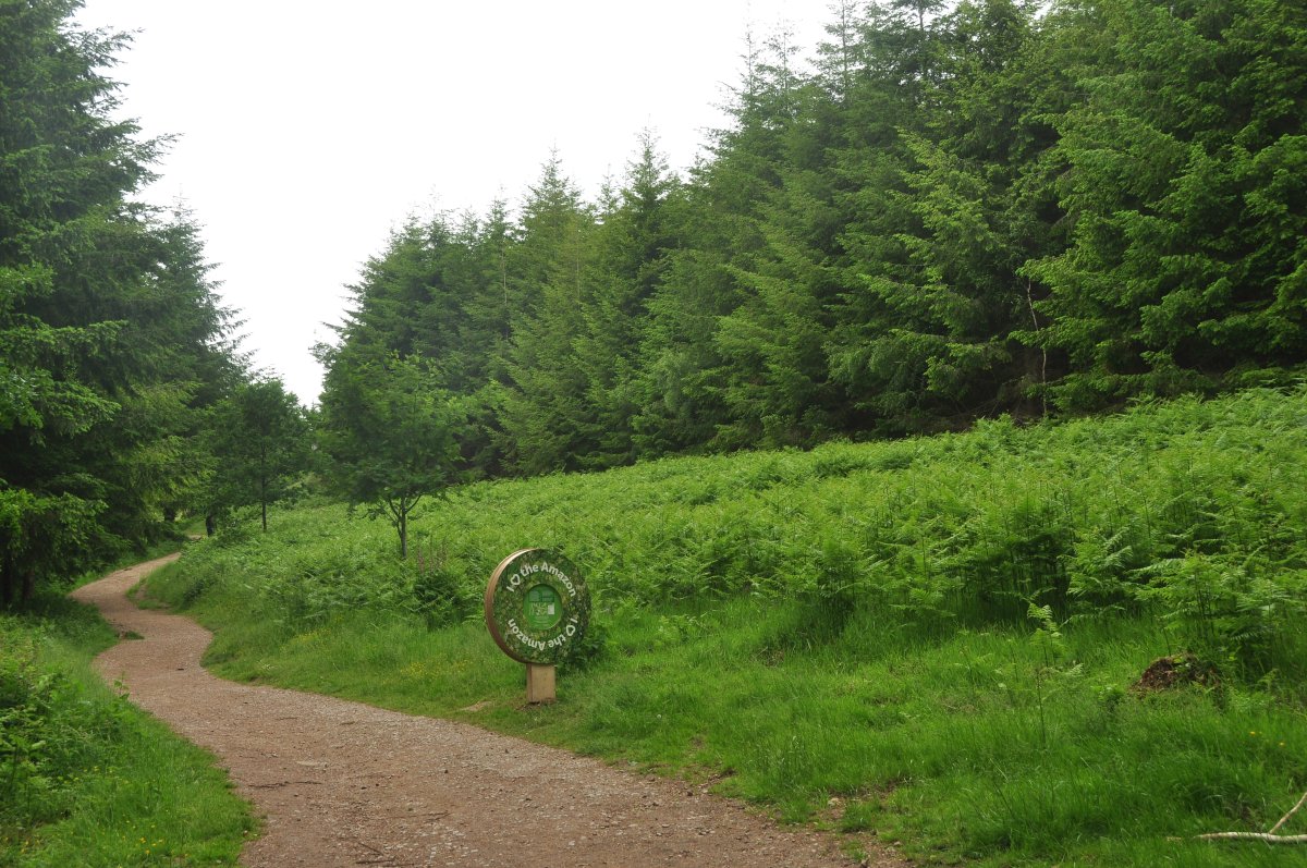 Sendero de Esculturas en el Bosque de Dean: arte en la naturaleza - Speech House Rd | Secret World Trip Planner