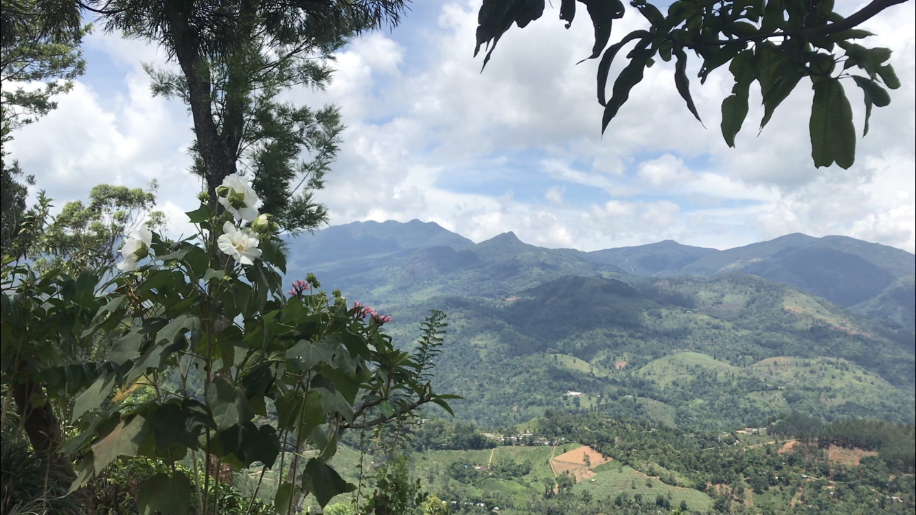 Scopri Knuckles: il paradiso naturale dello Sri Lanka - Kandy | Secret World Trip Planner