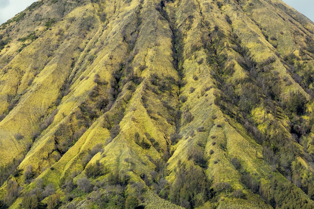 Gorilla di Montagna a Kinigi: Trek nel Parco dei Vulcani - GHWP+JFM | Secret World Trip Planner