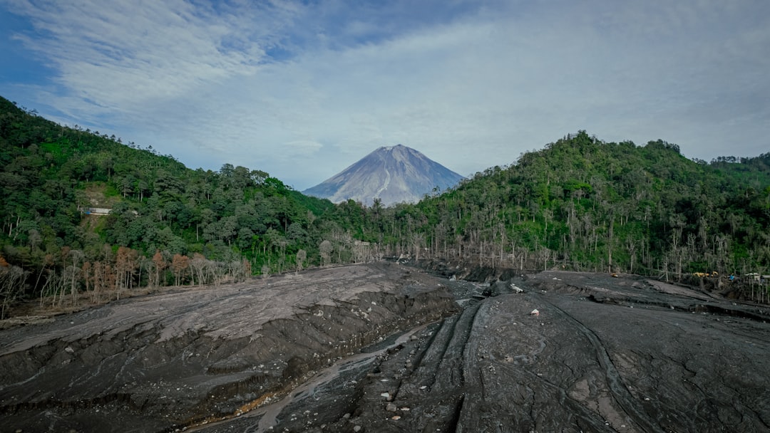 Gorilla in Kinigi: Trekking im Vulkanpark - GHWP+JFM | Secret World Trip Planner