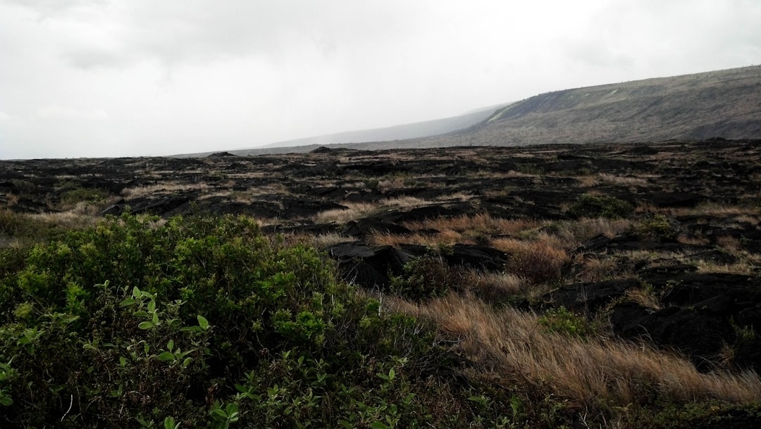 Gorilas de Montaña en Kinigi: Trekking en el Parque Vulcánico — GHWP+JFM