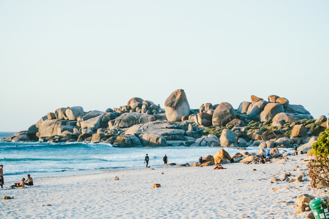 Boulders Beach : les pingouins africains de Cape Town - Cape Town | Secret World Trip Planner