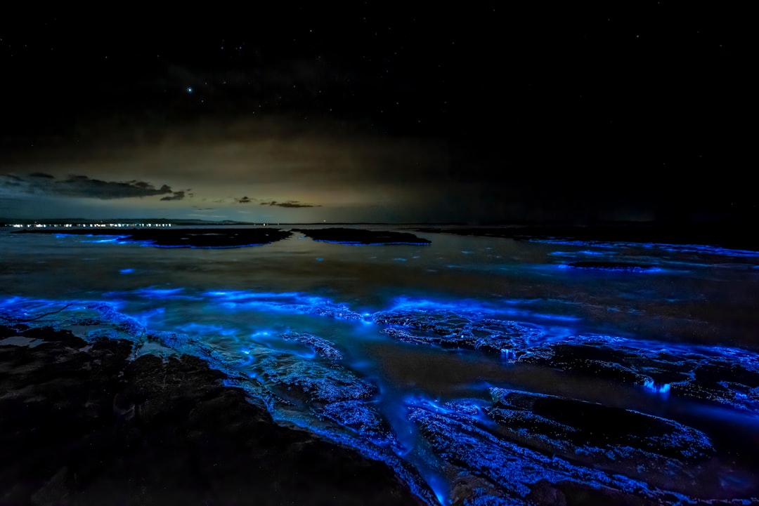 Baia Bioluminescente di Vieques: luce nell'acqua — Vieques 00765