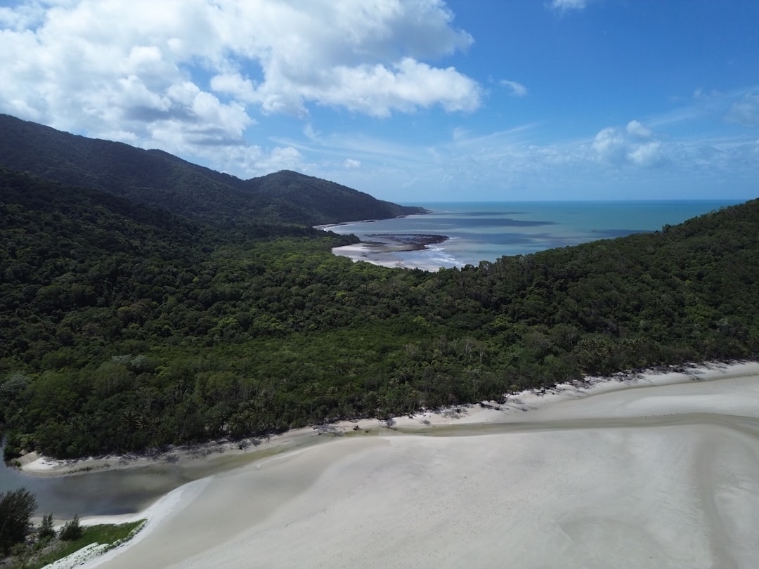 Foresta di Daintree: panorami tra foresta e barriera corallina - 2333 Cape Tribulation Rd | Secret World Trip Planner
