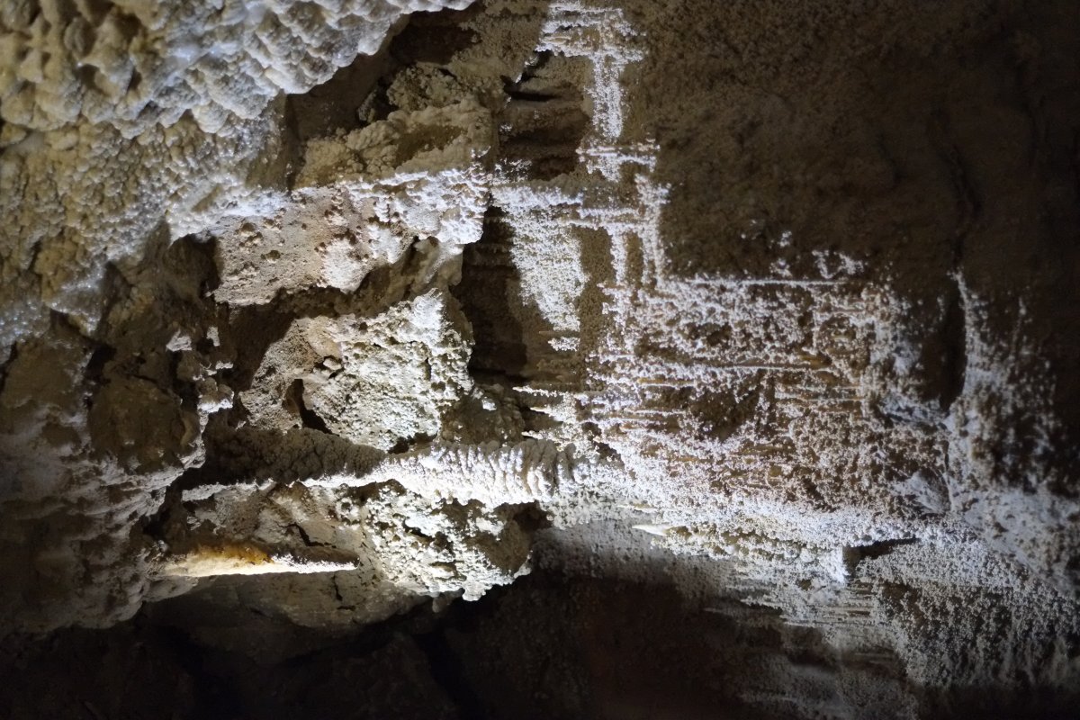 Ruakuri: The Glowworm Caves of Waitomo - Ruakuri Mağarası | Secret World Trip Planner