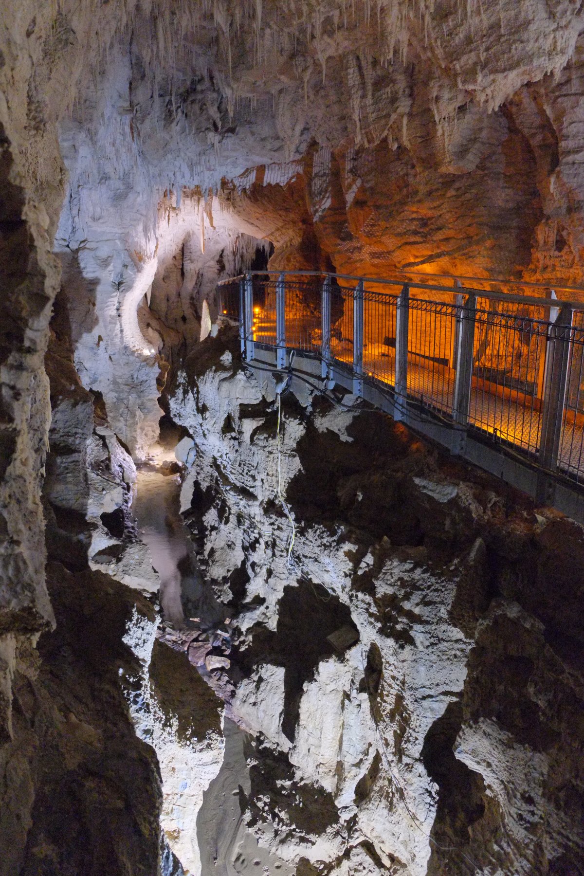 Ruakuri: las cuevas de conchas luminosas en Waitomo - Ruakuri Mağarası | Secret World Trip Planner
