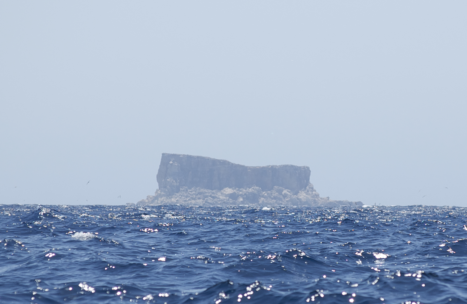 Descubre Filfla: la joya natural del sur de Malta - Siġġiewi | Secret World Trip Planner