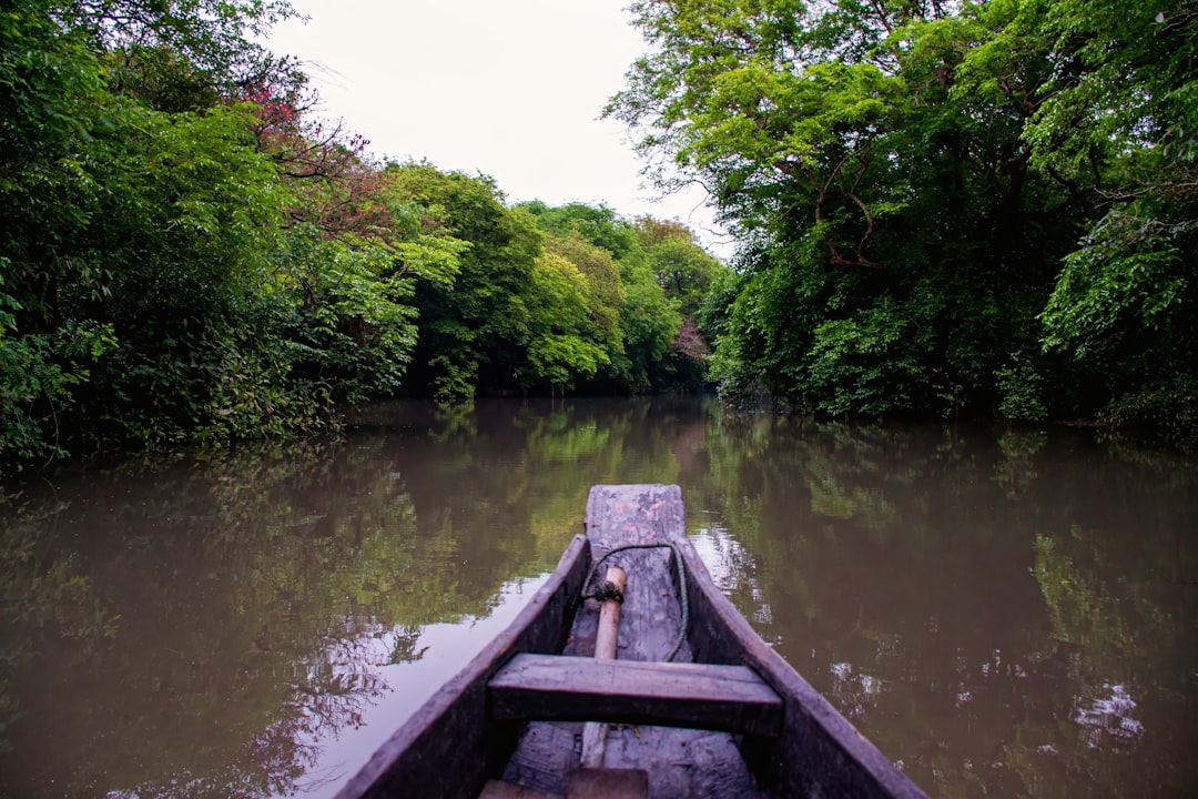 Ratargul: la selva inundada de Bangladesh - 2W79+MFG | Secret World Trip Planner