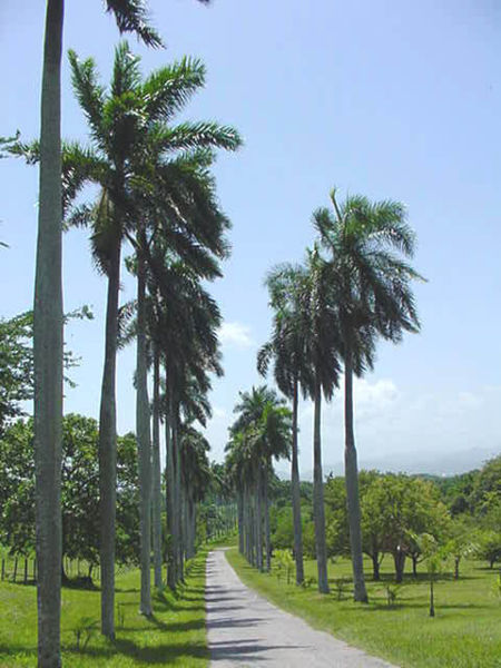 Giardini Botanici di Cienfuegos: guida alla visita | Secret World Trip Planner