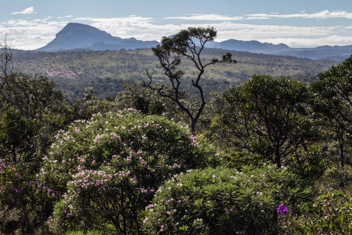 Chapada dos Veadeiros : le sauvage plateau brésilien - GO | Secret World Trip Planner